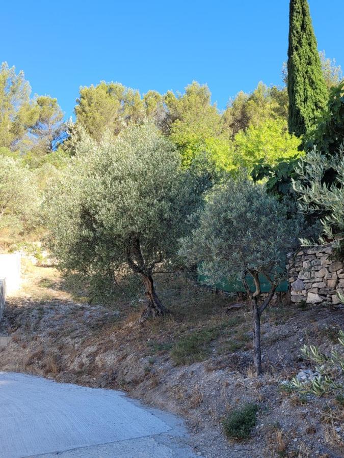 Villa L'Oustau De Laetitia Animaux Bienvenus Fontaine-de-Vaucluse Esterno foto